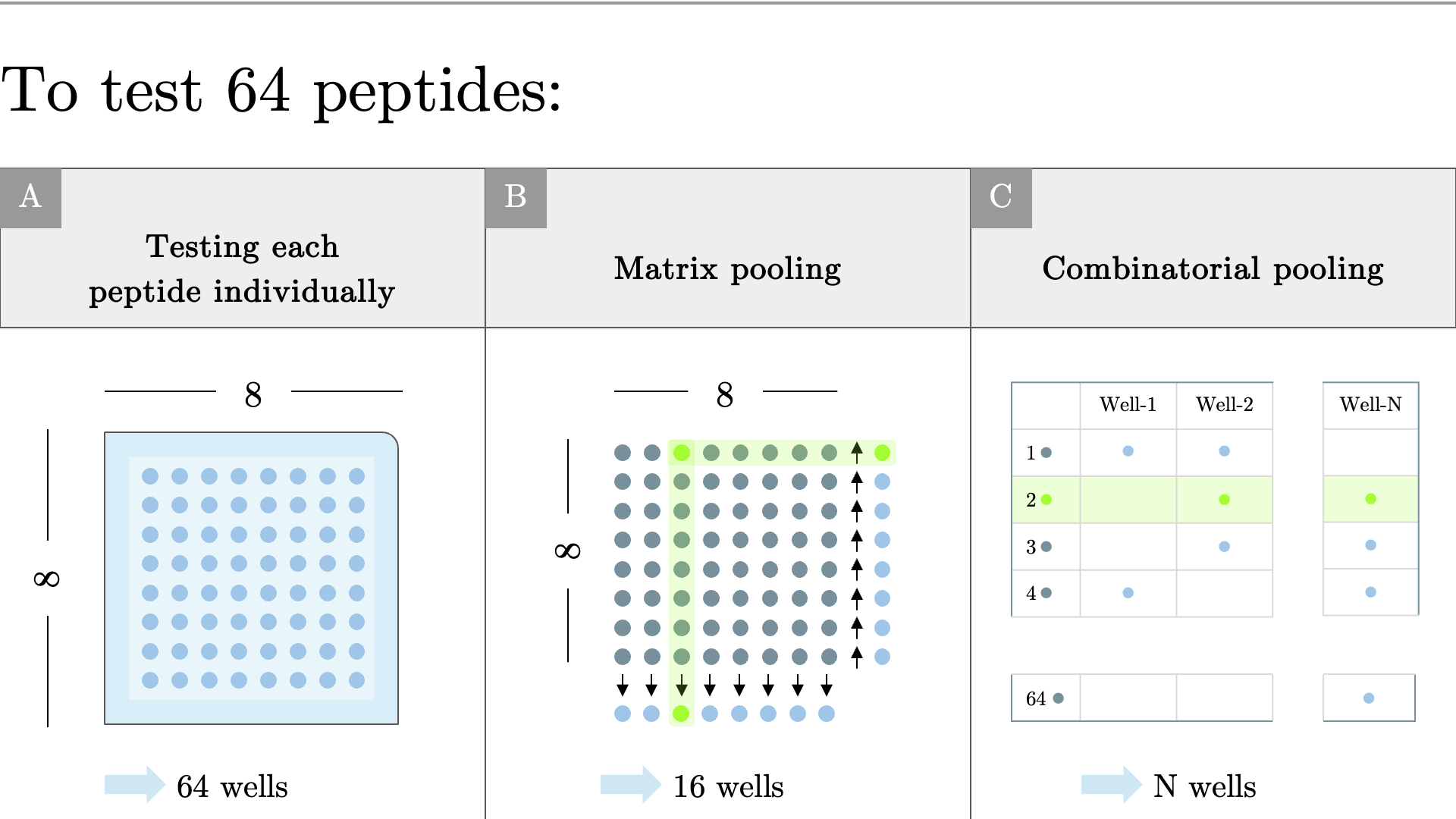 Experimental layout of TCR peptide screen.